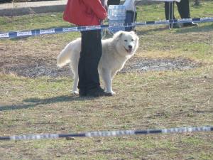 Прикачена снимка