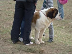 Прикачена снимка