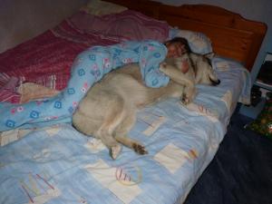 Прикачена снимка