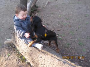 Прикачена снимка