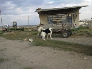 Прикачена снимка