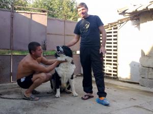 Прикачена снимка