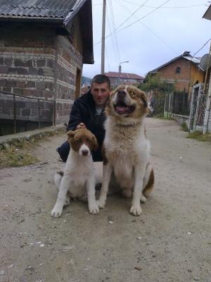 Прикачена снимка