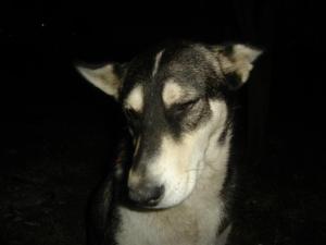 Прикачена снимка