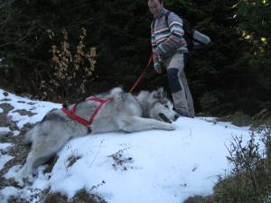 Прикачена снимка