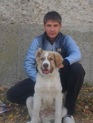 Прикачена снимка