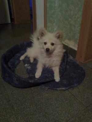 Прикачена снимка