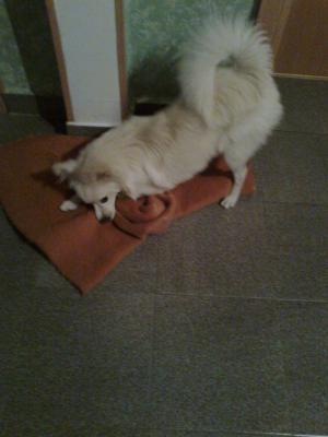 Прикачена снимка