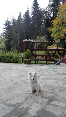 Прикачена снимка