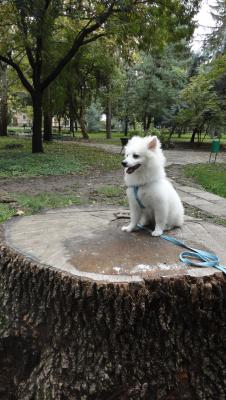 Прикачена снимка