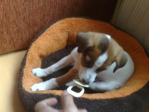 Прикачена снимка