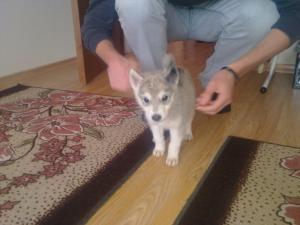 Прикачена снимка