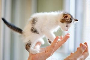 Прикачена снимка