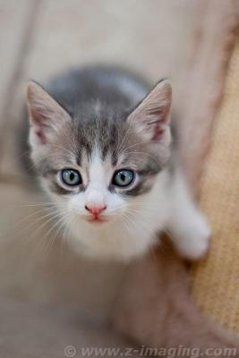 Прикачена снимка