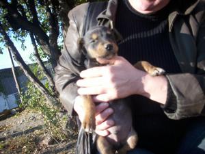 Прикачена снимка