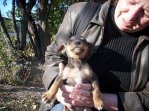 Прикачена снимка