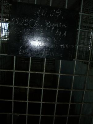 Прикачена снимка