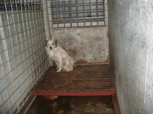 Прикачена снимка