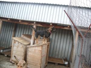 Прикачена снимка