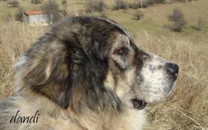 Прикачена снимка