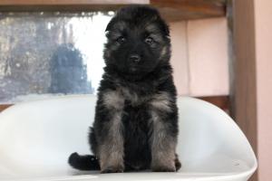 Прикачена снимка