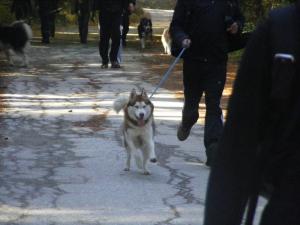 Прикачена снимка