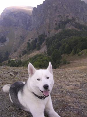 Прикачена снимка