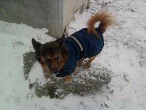 Прикачена снимка