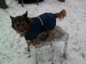 Прикачена снимка