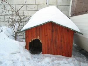 Прикачена снимка