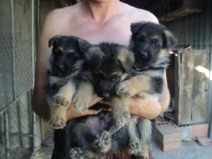 Прикачена снимка