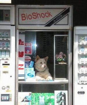 Прикачена снимка