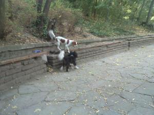 Прикачена снимка