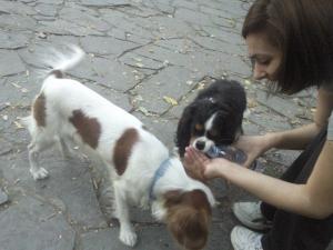 Прикачена снимка