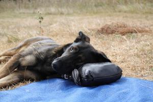 Прикачена снимка