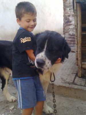 Прикачена снимка