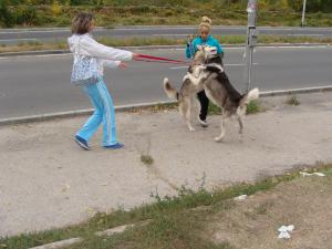 Прикачена снимка