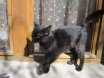 Прикачена снимка