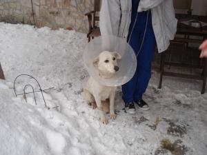 Прикачена снимка