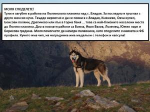 Прикачена снимка