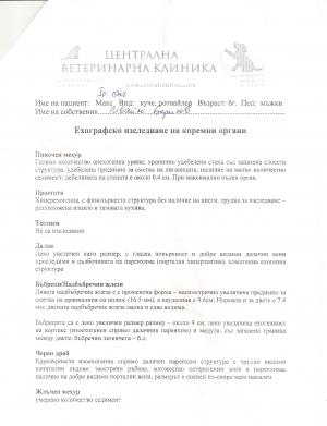 Прикачена снимка