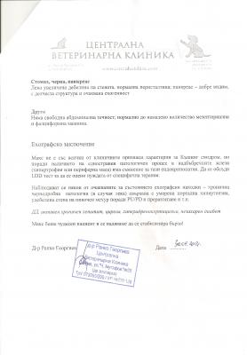 Прикачена снимка