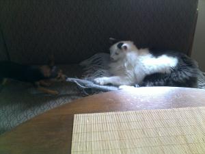 Прикачена снимка