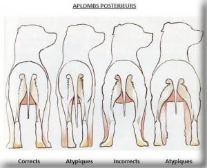 Прикачена снимка