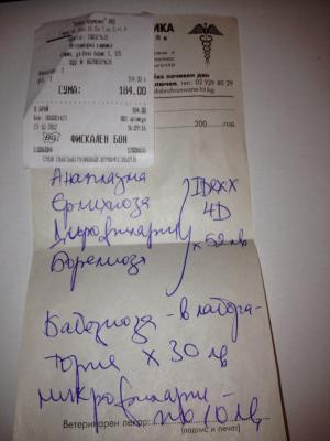 Прикачена снимка