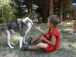 Прикачена снимка