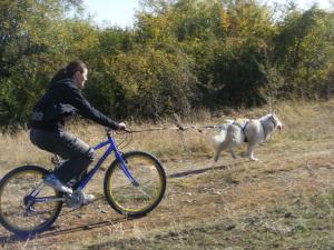 Прикачена снимка