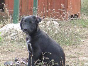 Прикачена снимка