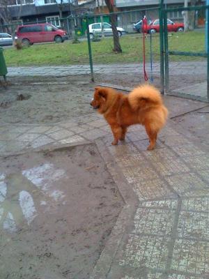 Прикачена снимка