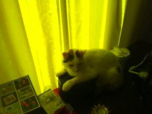 Прикачена снимка